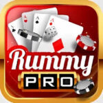 RUMMY PRO ANDROID icon